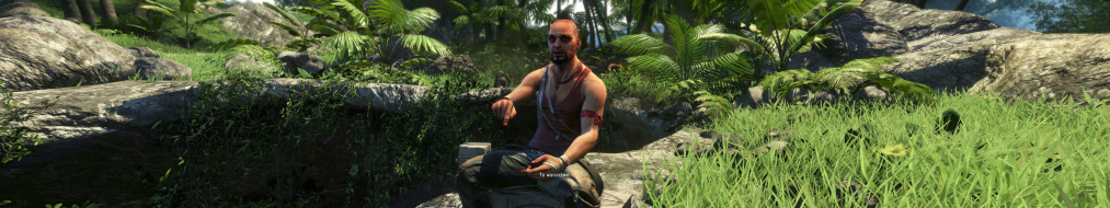 Far Cry 3