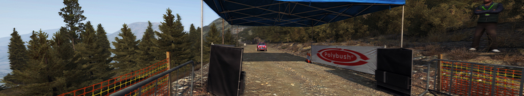 Dirt Rally