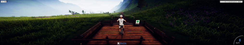 Descenders